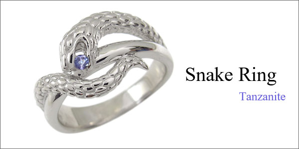 スネーク,蛇,ヘビ