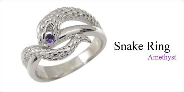 スネーク,蛇,ヘビ