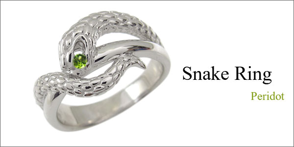 スネーク,蛇,ヘビ