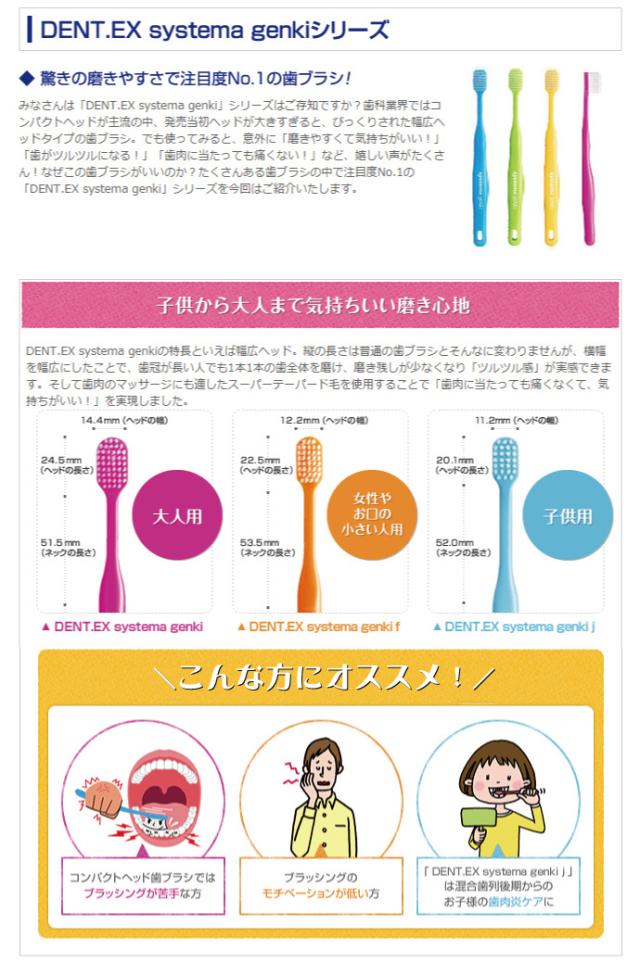 ハシケン様 LION ライオン DENT.EX systema genki f (デントEXシステマ