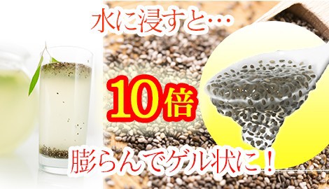 見本画像
