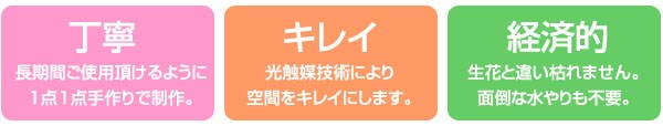 数量限定安い アートグリーン 621A230 2018年の通販はau PAY マーケット - カウマ|商品ロットナンバー:269967339 人工観葉植物 光触媒 光の楽園 カシワバゴム1.3 本物保証人気