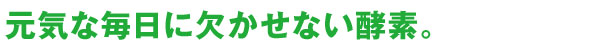 元気な毎日に欠かせない酵素。