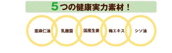亜麻仁油、乳酸菌、国産生姜、梅エキス、シソ油