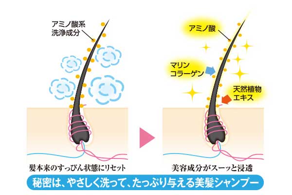 やさしく洗ってたっぷり与える美髪シャンプー