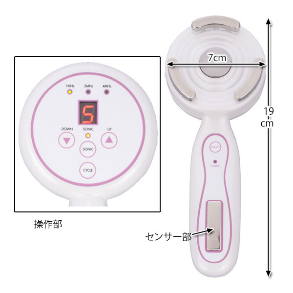 サイズと詳細