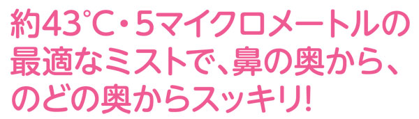 約43度・5マイクロメートルの最適なミストで鼻の奥から、のどの奥からスッキリ