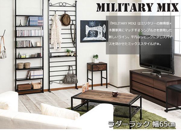 エリアシリーズ ラダーラック幅65cm