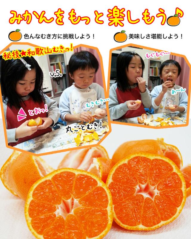 和歌山のみかんをもっと美味しく、楽しんでほしい!