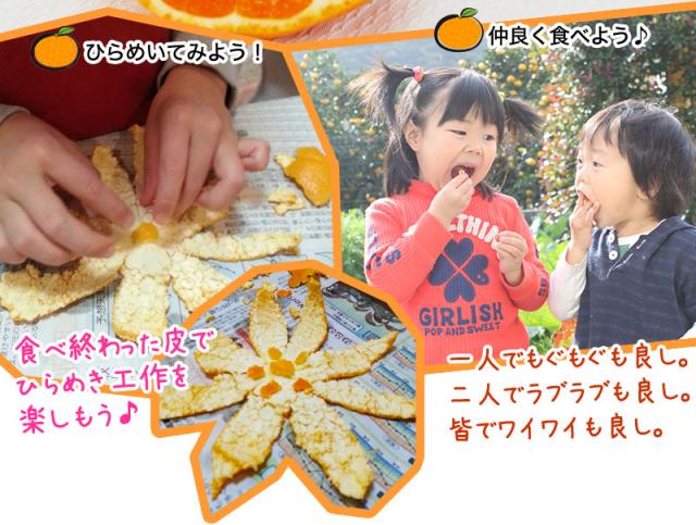 食べ終わった皮でオリジナル工作も楽しんでください。