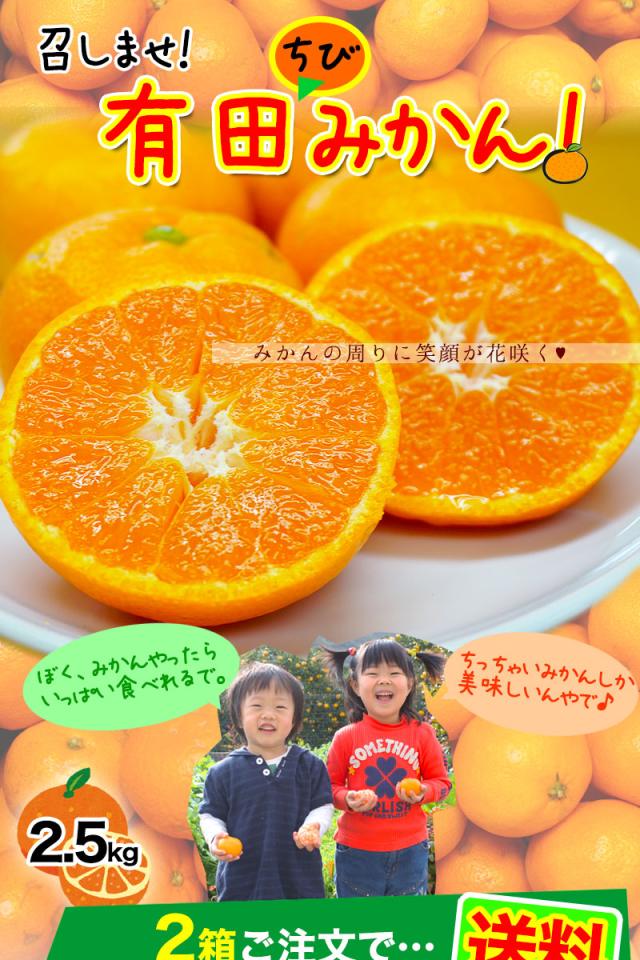 有田みかん お買得ご家庭用みかん!