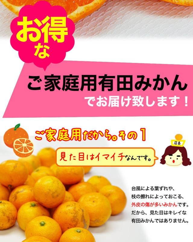 お得な家庭用有田みかんをお届けします