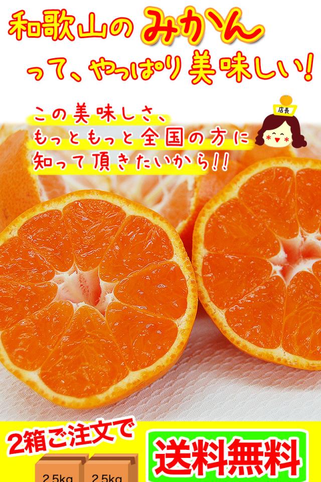 有田みかんはやっぱり美味しい