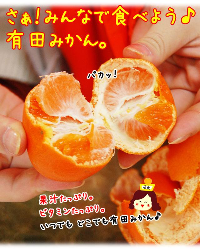 美味しい有田みかんを皆で食べよう!