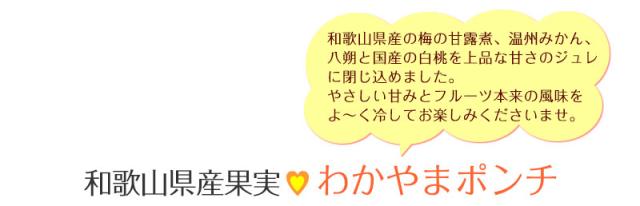 わかやまポンチ