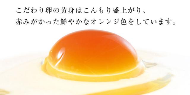 こだわり卵の黄身は赤みがかった鮮やかなオレンジ色