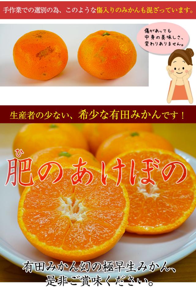 有田みかん幻の極早生みかん。どうぞご賞味下さい