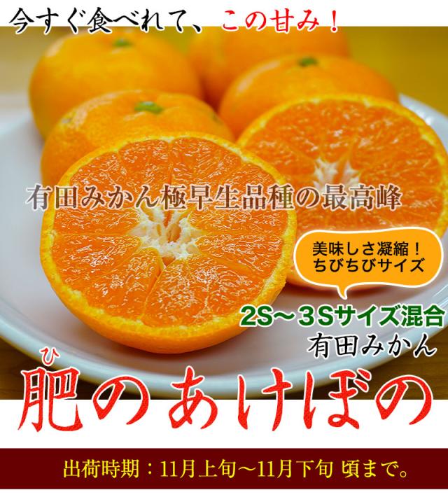 有田みかん 極早生品種の最高峰、肥のあけぼの