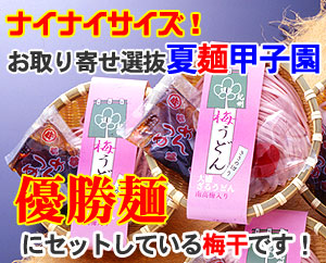 丸ざる梅うどんにセットしている梅干しです。