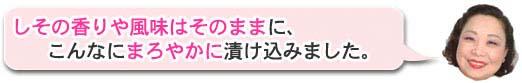 しその香りはそのままに、まろやかに漬け込んだ梅干しです。