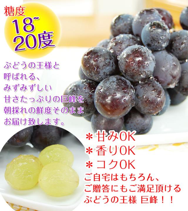 ぶどうの王様と呼ばれるこの甘み、香り、瑞々しさをご自宅で！