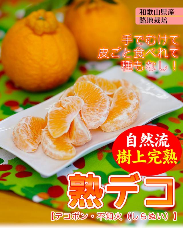ご家庭用 訳あり熟デコ(デコポン、不知火)和歌山県路地栽培