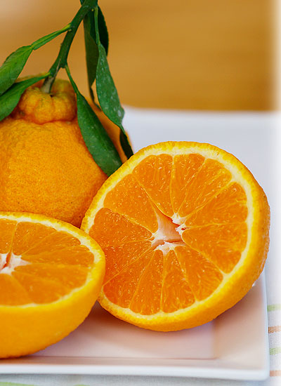 清見とポンカンの交配で作られた美味しいみかん。