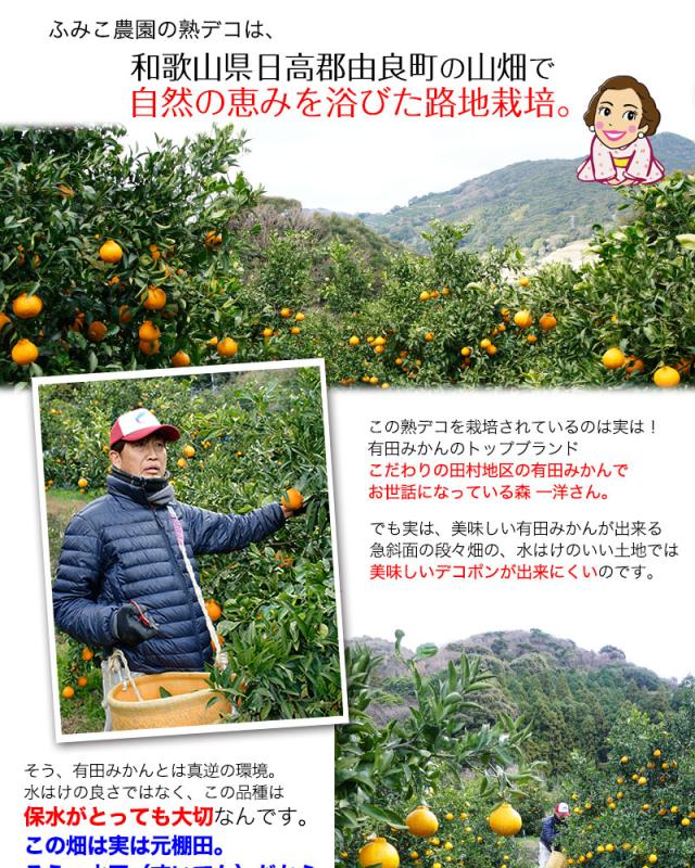 この熟デコは、自然の恵みを浴びた路地栽培