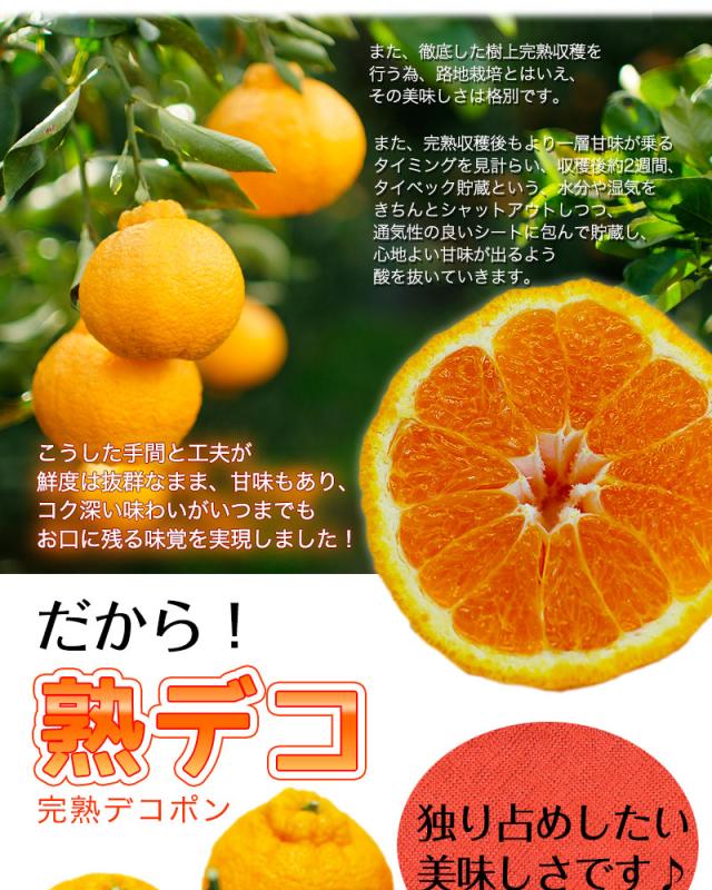 熟デコが一番美味しいタイミングを見計らい、出荷させて頂きます。