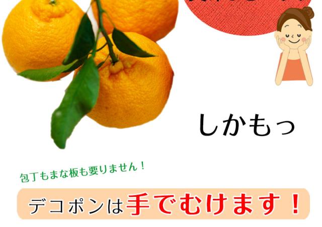 手でむけて、薄皮も食べれるのも魅力の一つ