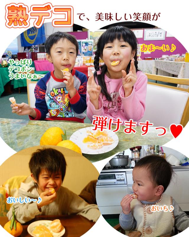 みかんのように手でむけて、そのまま食べれるデコポンはお子様にも人気の柑橘です。
