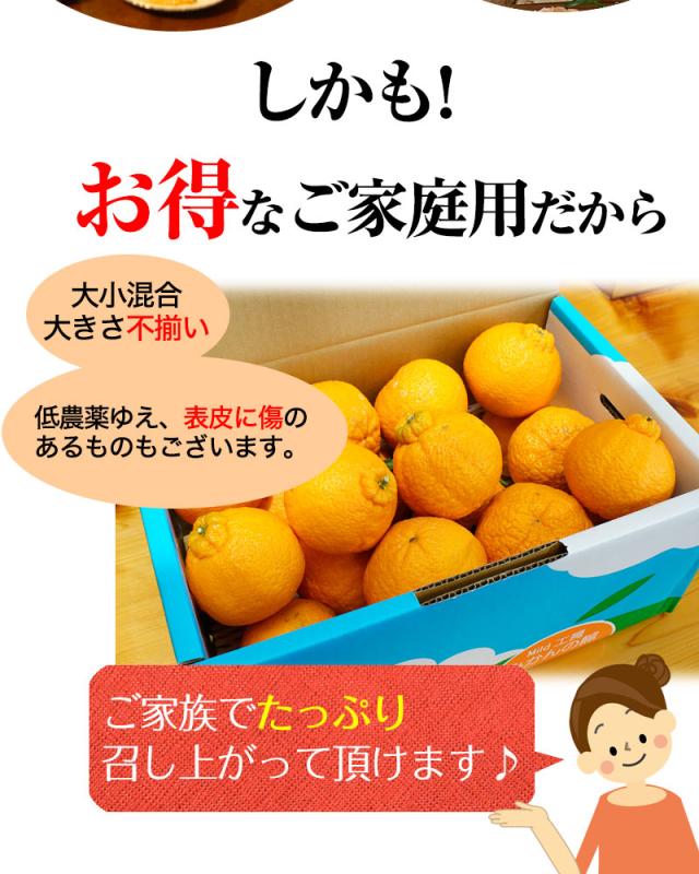 お得なご家庭用だからこそ、たっぷり召し上がって頂けます!