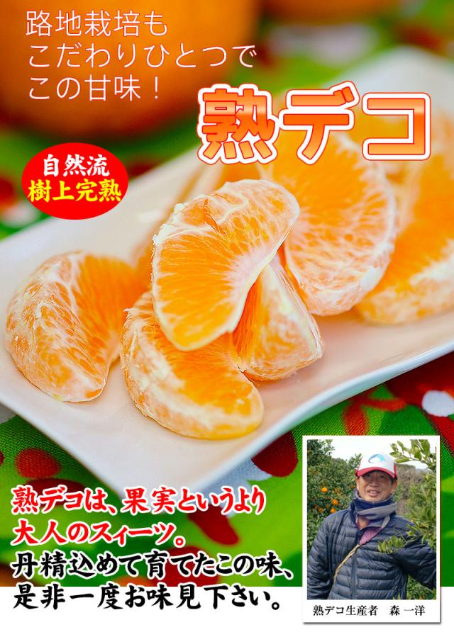 露地栽培もきちんと育てればこんなに美味しい!森さん自慢の熟デコです。