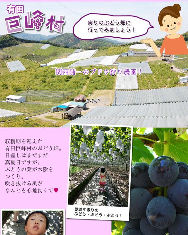 有田巨峰村へようこそ。