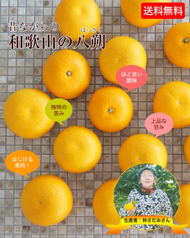 和歌山の美味しい八朔(ハッサク)お届けします。