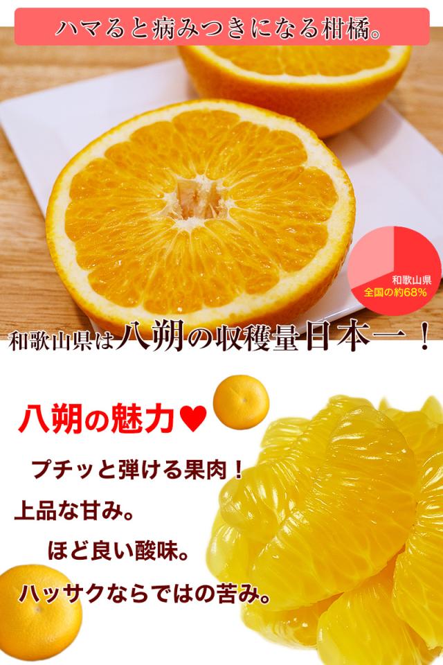 八朔は和歌山県が生産量日本一