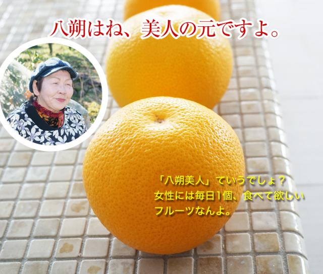 八朔は美人の元なんです!