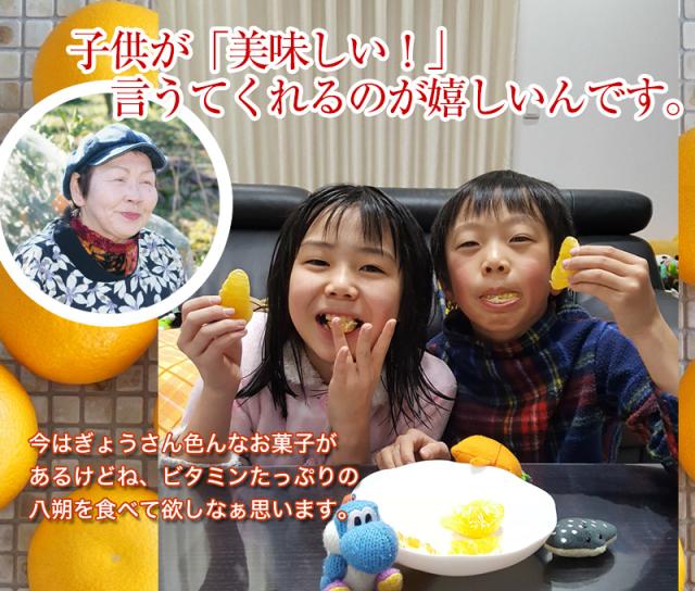 子供達が安心して食べられる八朔