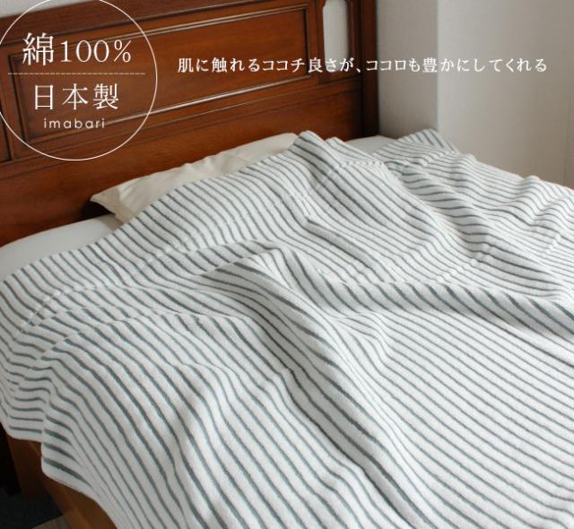 今治タオルケット・レイユール・ストライプボーダー