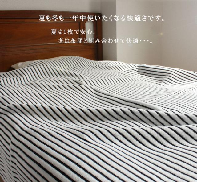 今治タオルケット・レイユール・ストライプボーダー