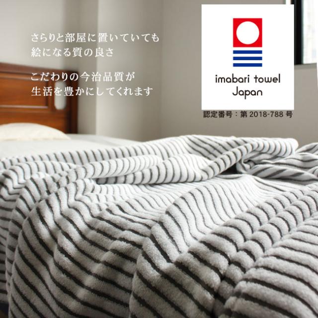 今治タオルケット・レイユール・ストライプボーダー