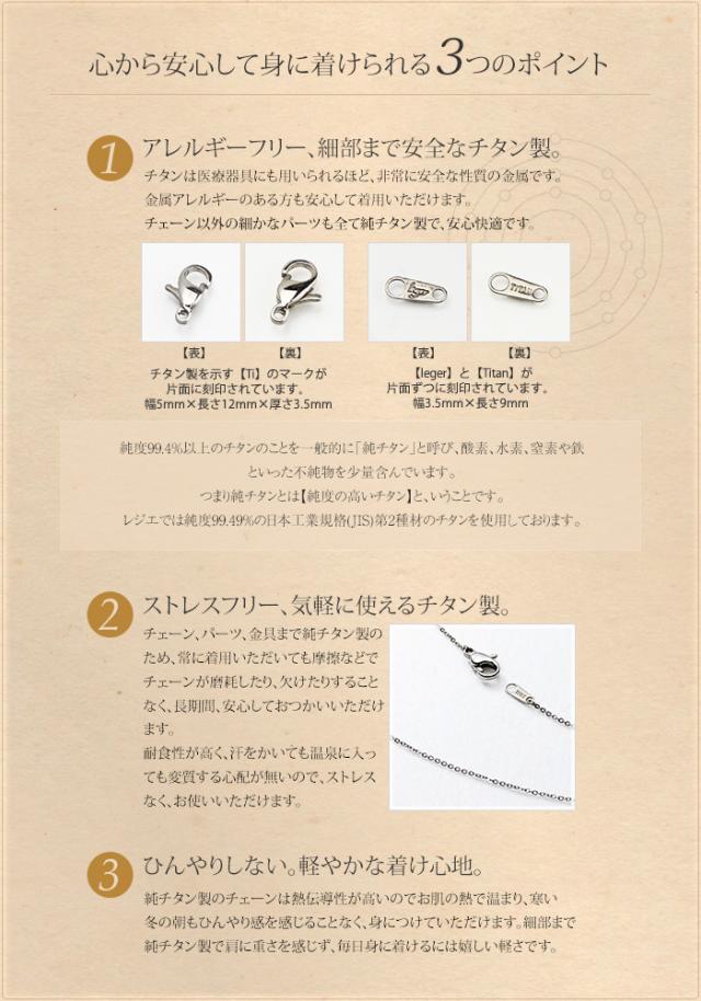 SSAチェーンフックのポイント