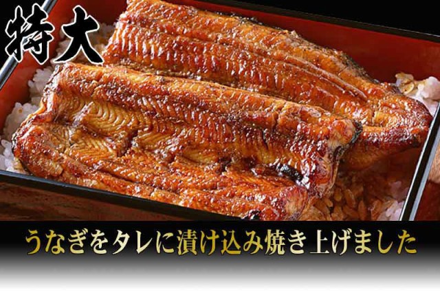 SALE豊富な 贈り物 ギフト 贈り物ギフト プレゼント 送料無料 うなぎ 蒲焼き 国内産 ランキング 国内産 炭火焼うなぎ蒲焼 特大10尾入 宮崎県の通販はau PAY マーケット - おのみち発 北前船の贈り物|商品 特価お得