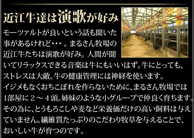 からお おもてなし ギフト の通販はau PAY マーケット - 近江牛の千成亭|商品ロットナンバー:505888561 旨味凝縮 霜降りモモすき焼き 700g のしOK お中元 ╌について