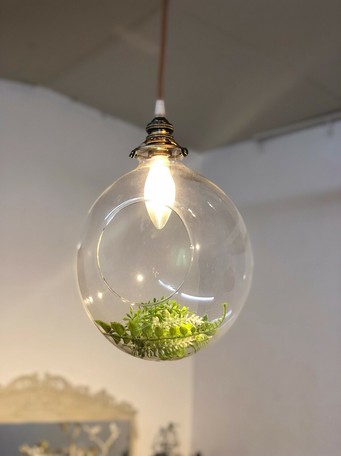 全国組立設置無料 予約 1灯 ペンダントライト Gr 005 1 照明 グリーン 緑 植物 インテリア 家具 飲食 美容室 店舗 備品 天井照明の通販はau Pay マーケット ロシナンテ オンライン 商品ロットナンバー お1人様1点限り College Star Com 全国組立設置無料 予約 1灯 ペンダントライト Gr 005 1 照明 グリーン 緑 植物 インテリア 家具 飲食 美容室 店舗 備品 天井照明の通販はau Pay マーケット ロシナンテ オンライン 商品ロットナンバー お1人様1点限り College Star Com
