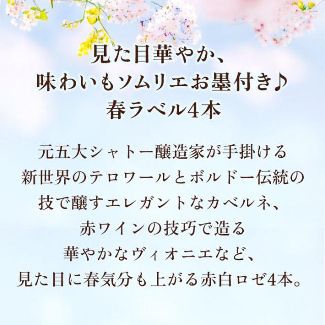 訳ありSALE限定セット！