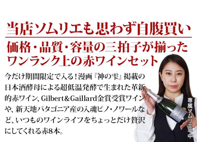当店ソムリエが選んだ「ちょっといい」赤ワイン10本セット
