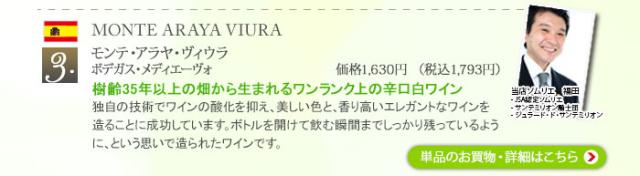 モンテ・アラヤ・ヴィウラ/ ボデガス・メディエヴォ