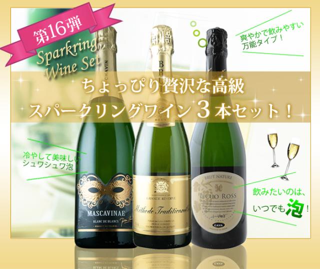 泡好きなソムリエが厳選しました