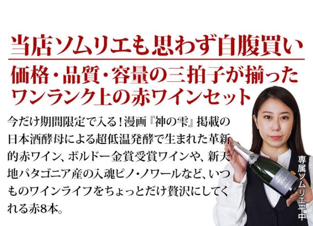 当店ソムリエが選んだ「ちょっといい」赤ワイン10本セット